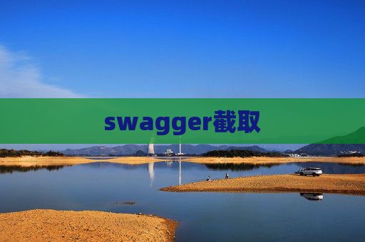 swagger截取
